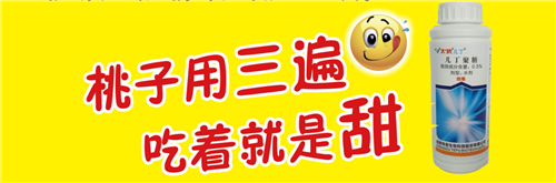 1527748466977220J6dk.png 圖片6.png