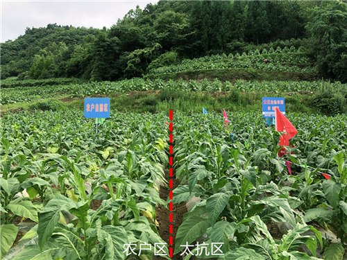 1531292136525340YiWY.png 圖片3.png