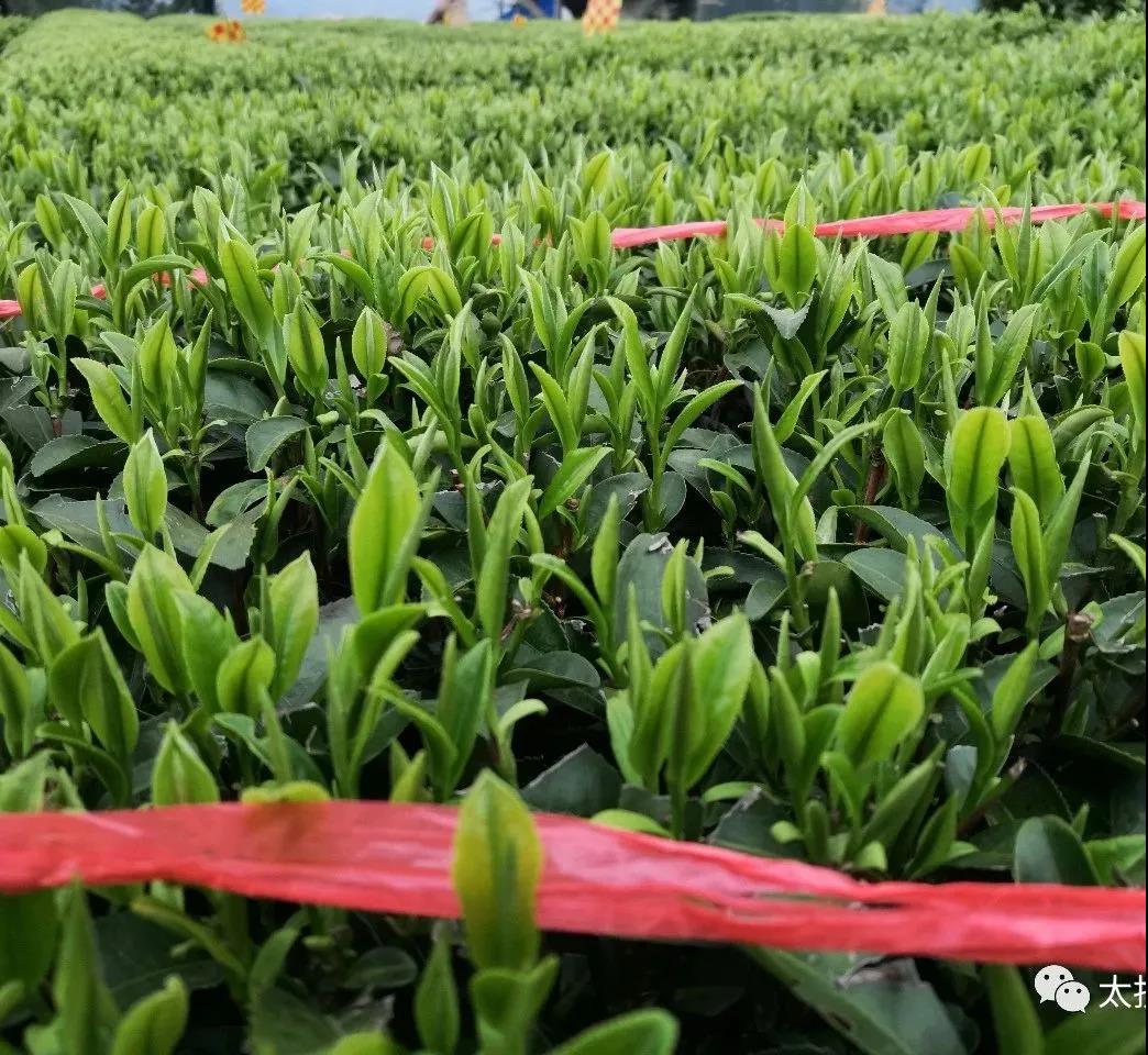 1634398232597478XFgh.jpg 微信圖片_20211016230503.jpg