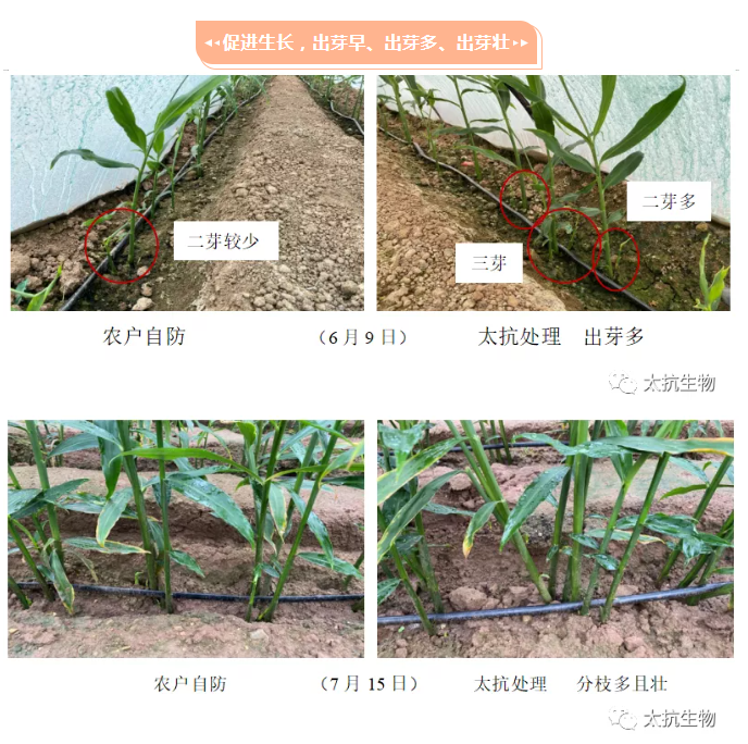 163842937540247018jN.png 微信截圖_20211201170823.png