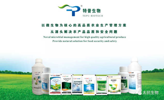 1638429703393684wiF4.png 微信截圖_20211202153035.png